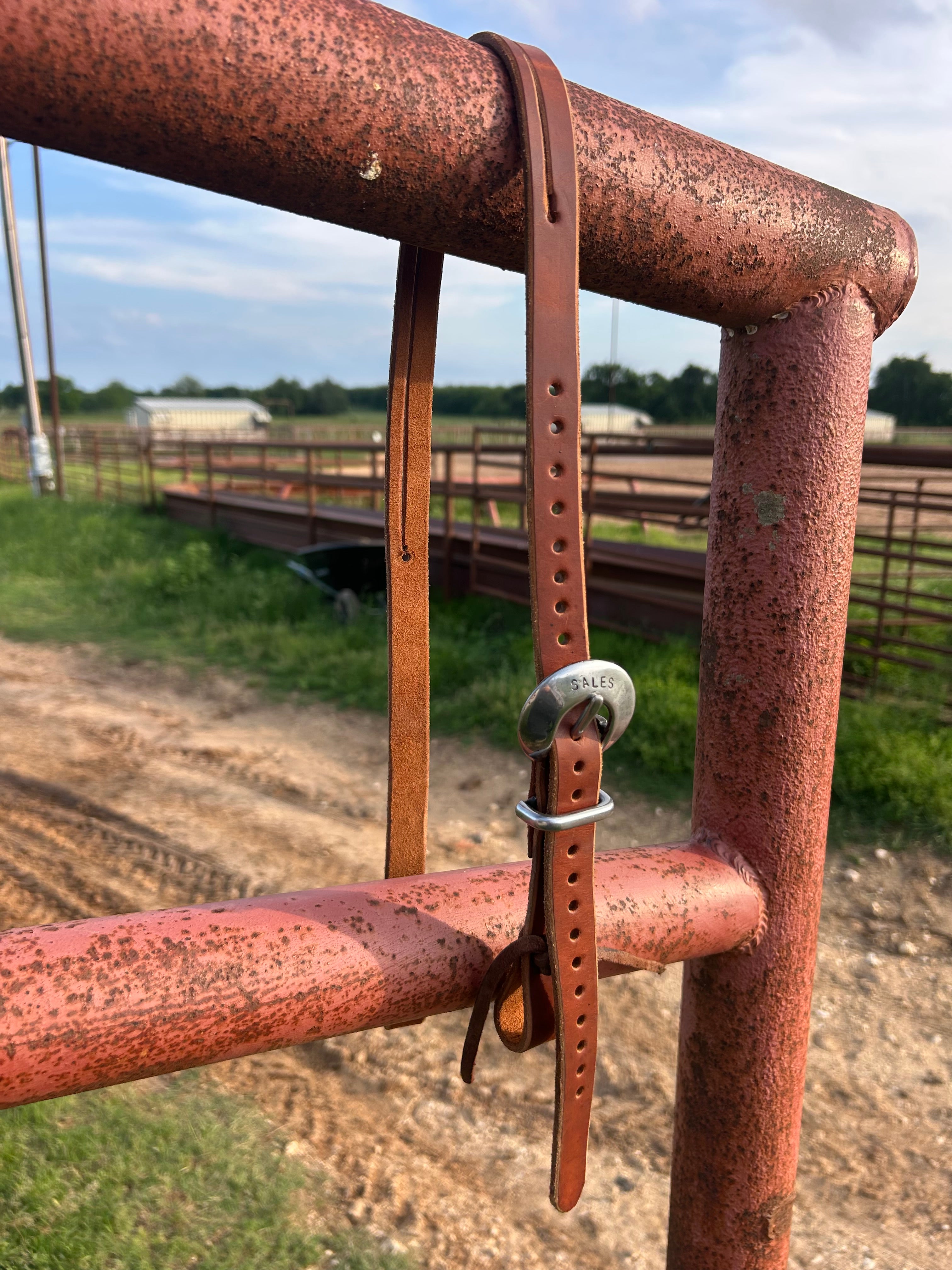 Hot Oiled Herman Oak Headstall