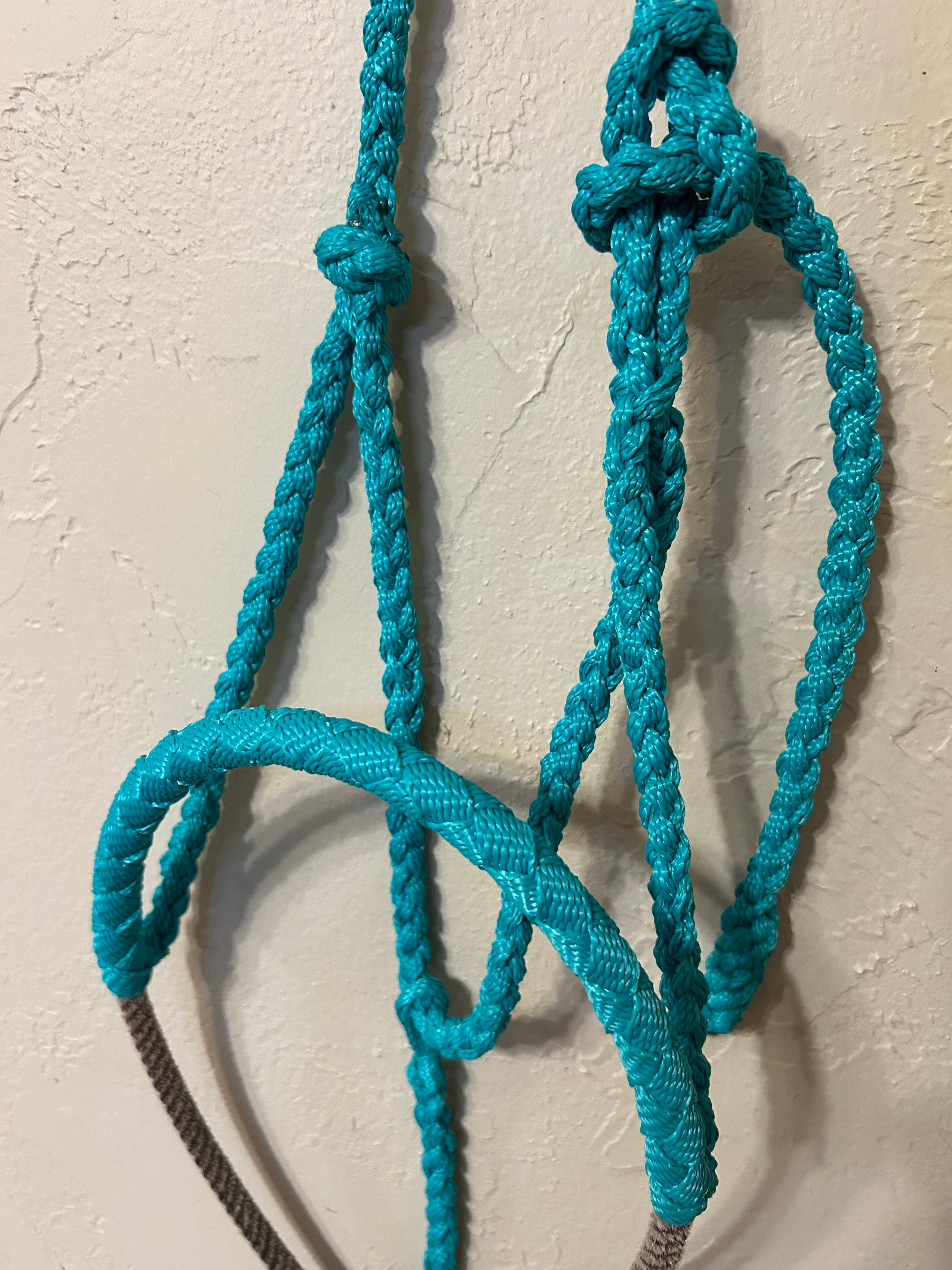 Hand Braided Mule Tape Halters