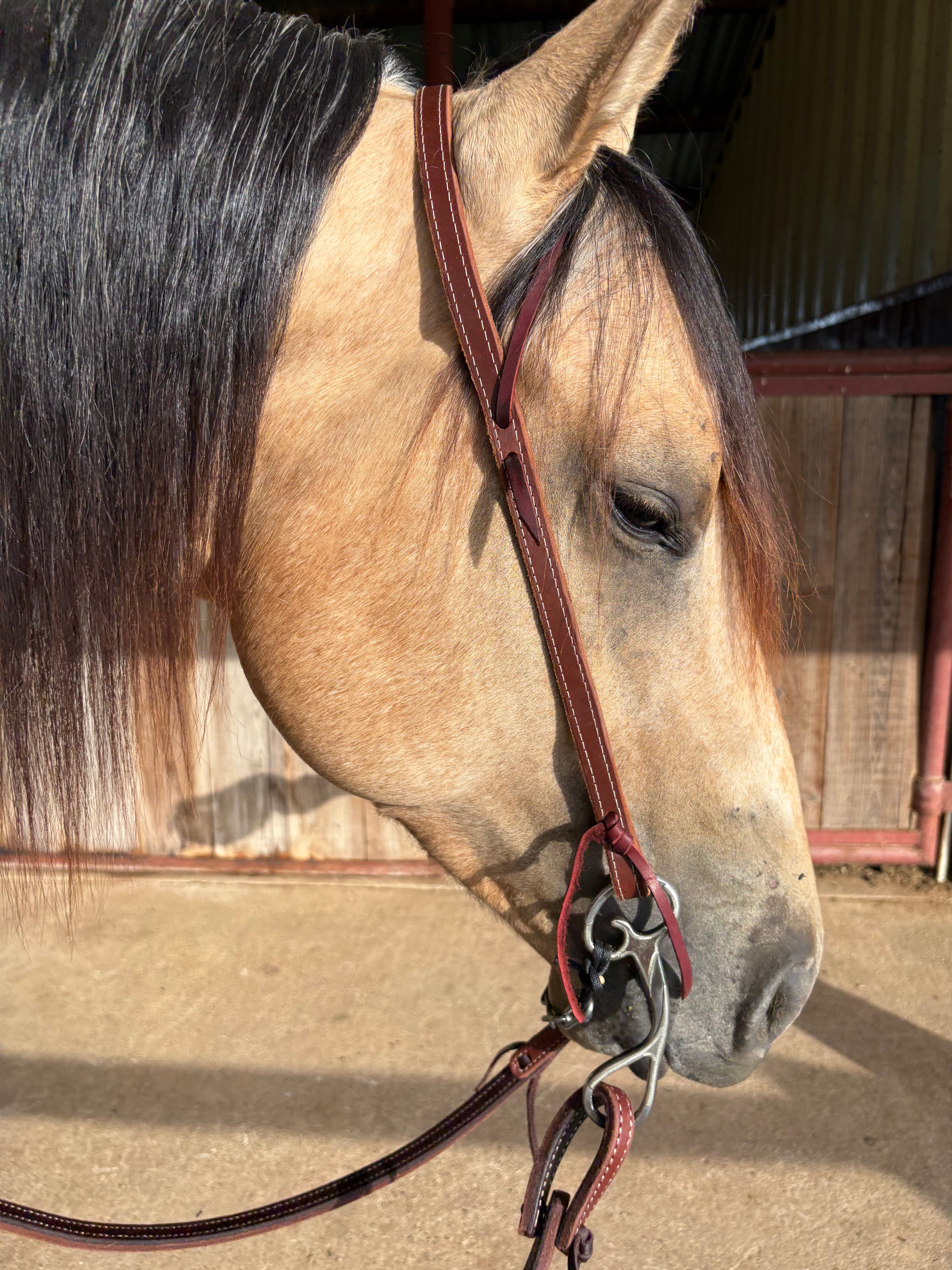 5/8” Split Ear Headstall