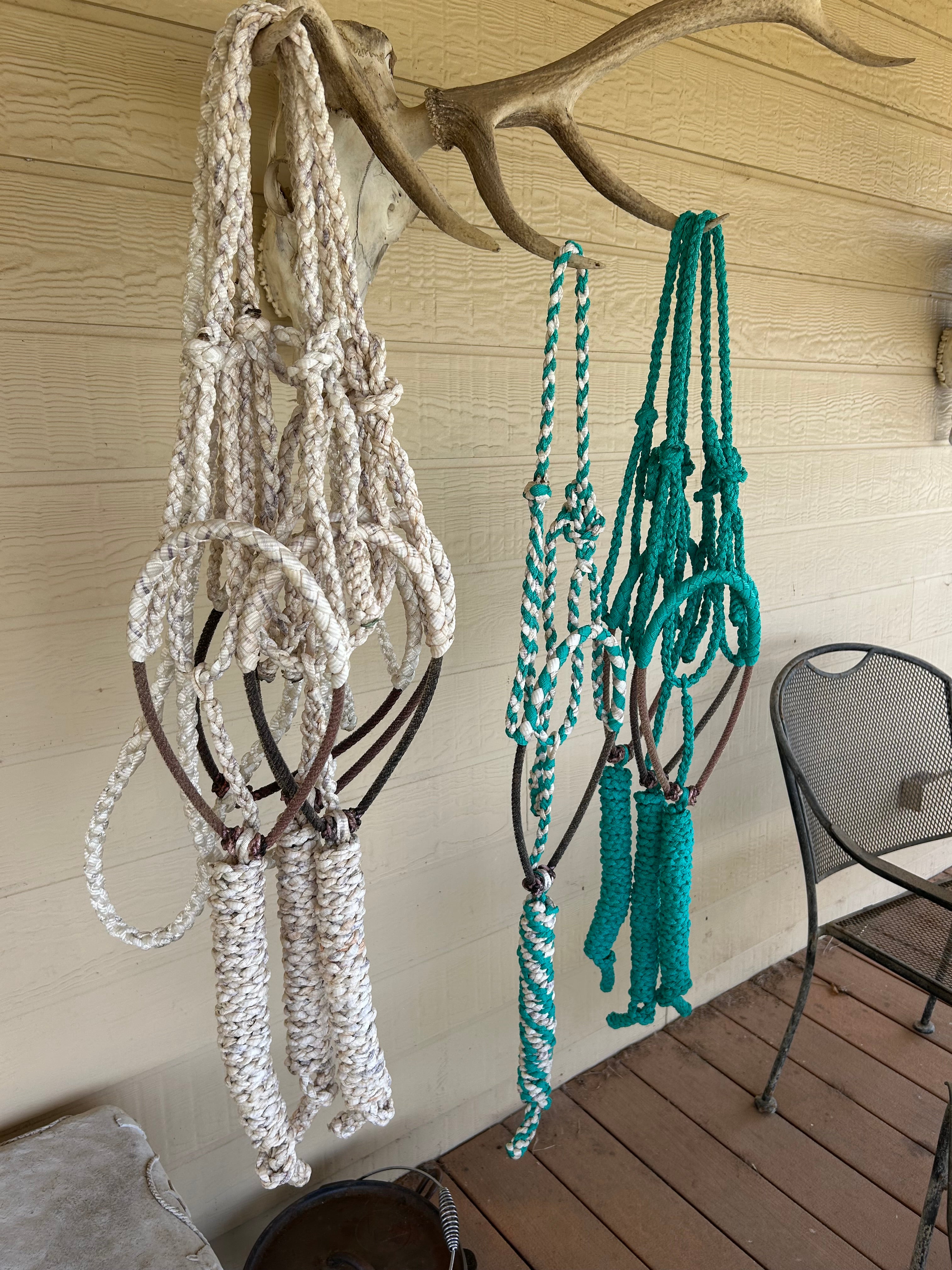 Hand Braided Mule Tape Halters