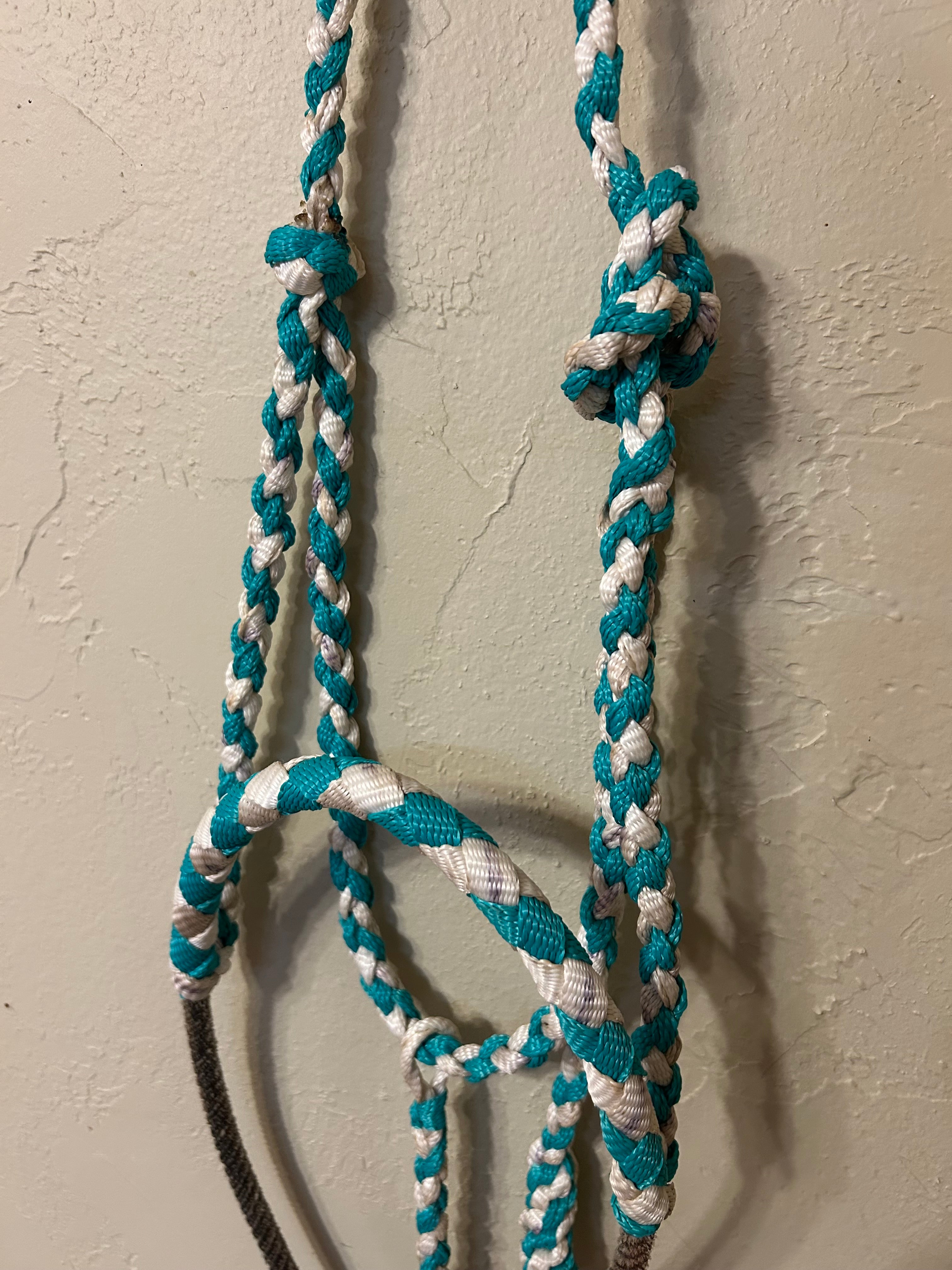 Hand Braided Mule Tape Halters