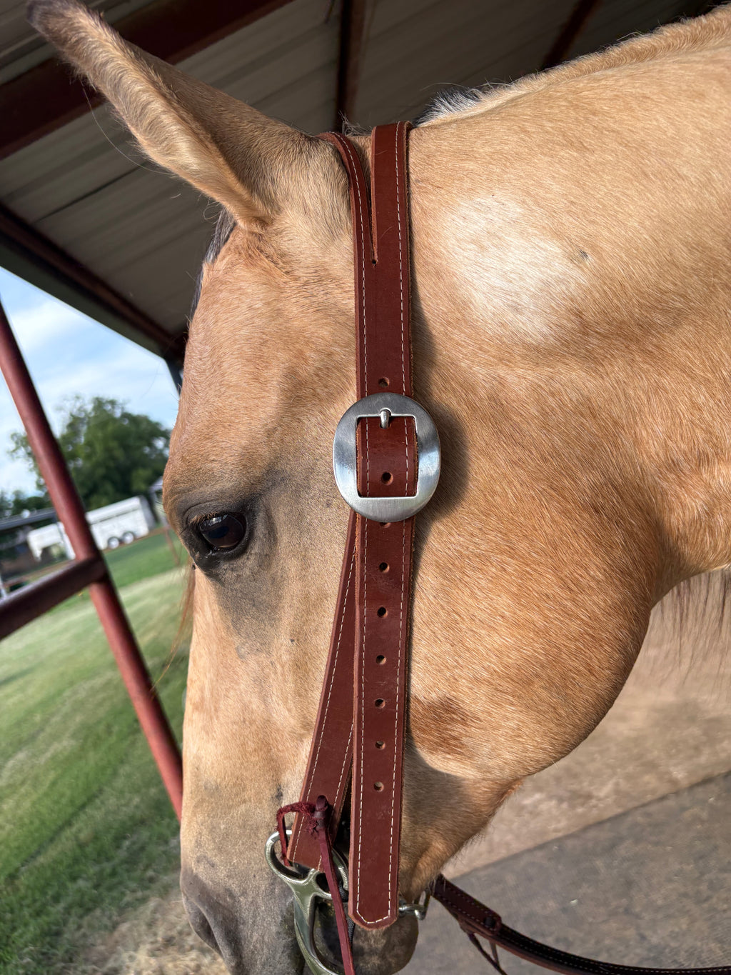 1” Split Ear Headstall