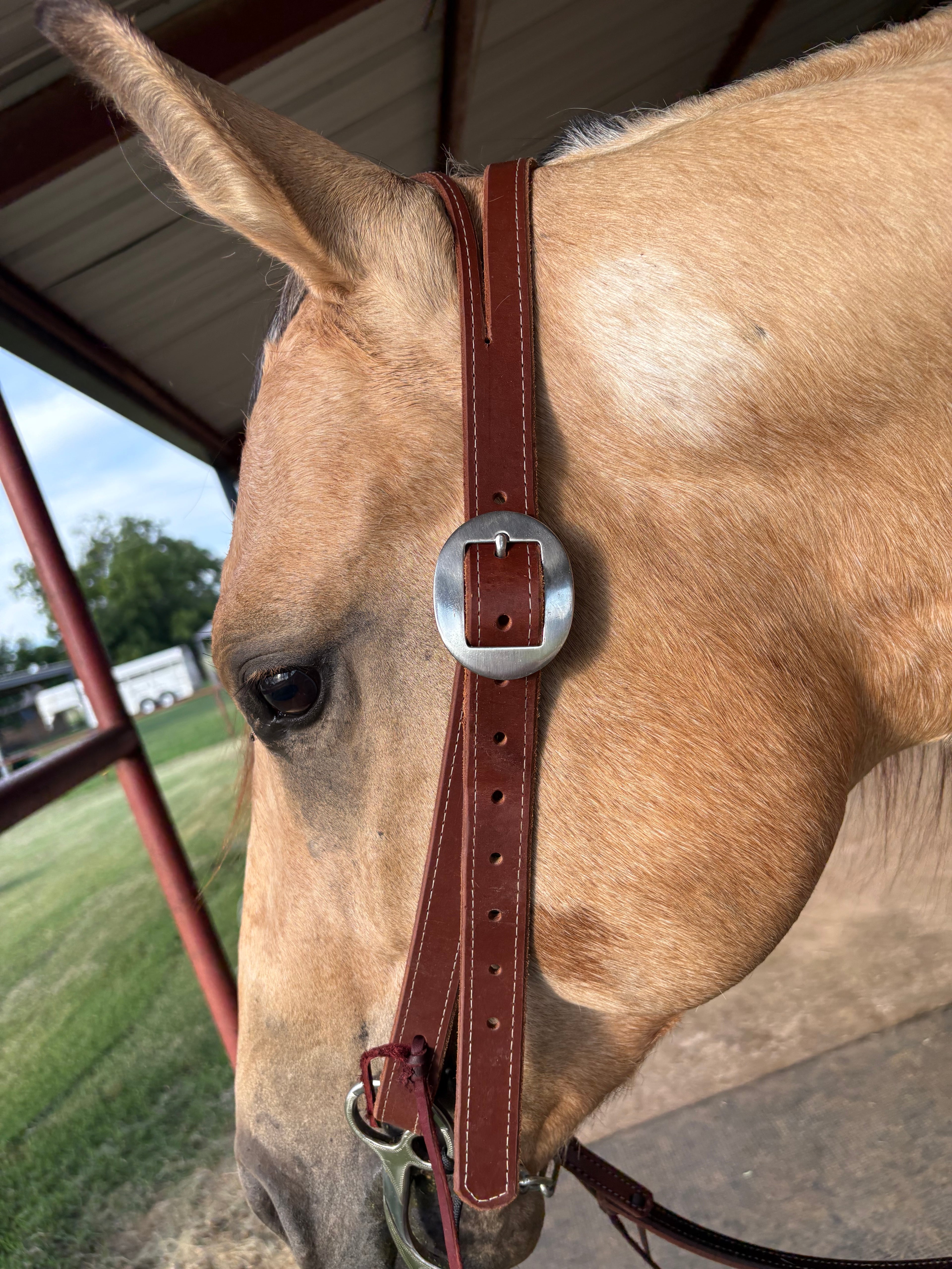 1” Split Ear Headstall
