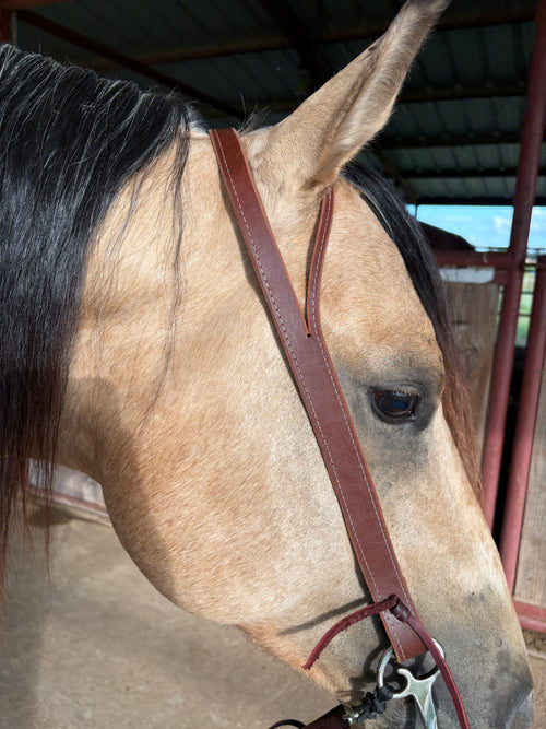 1” Split Ear Headstall
