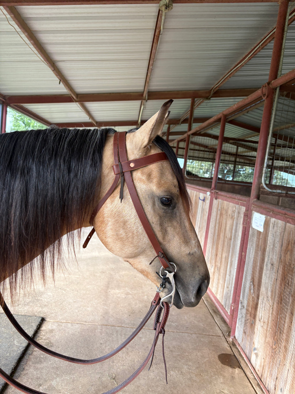 3/4” Browband Headstall