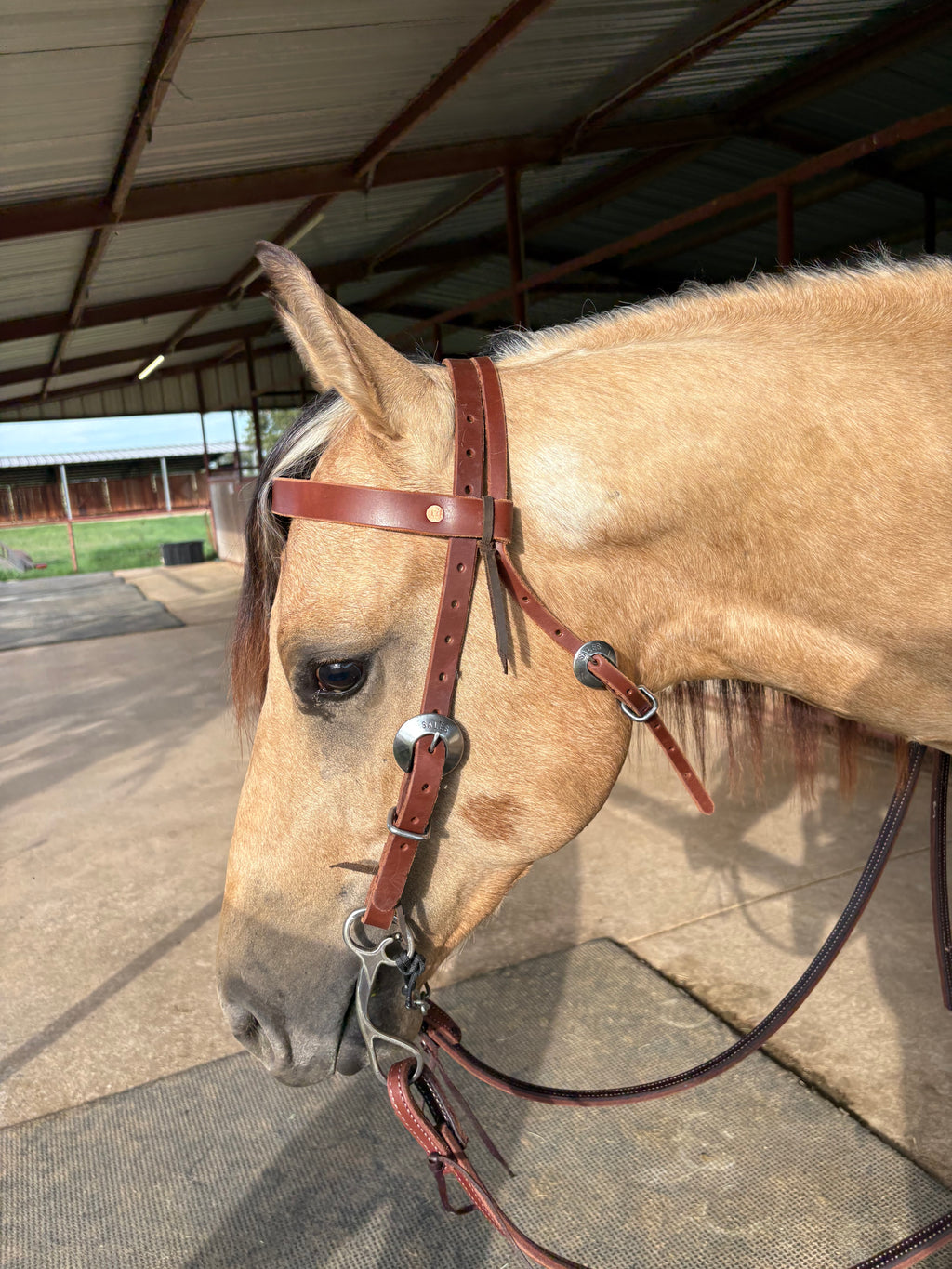 3/4” Browband Headstall