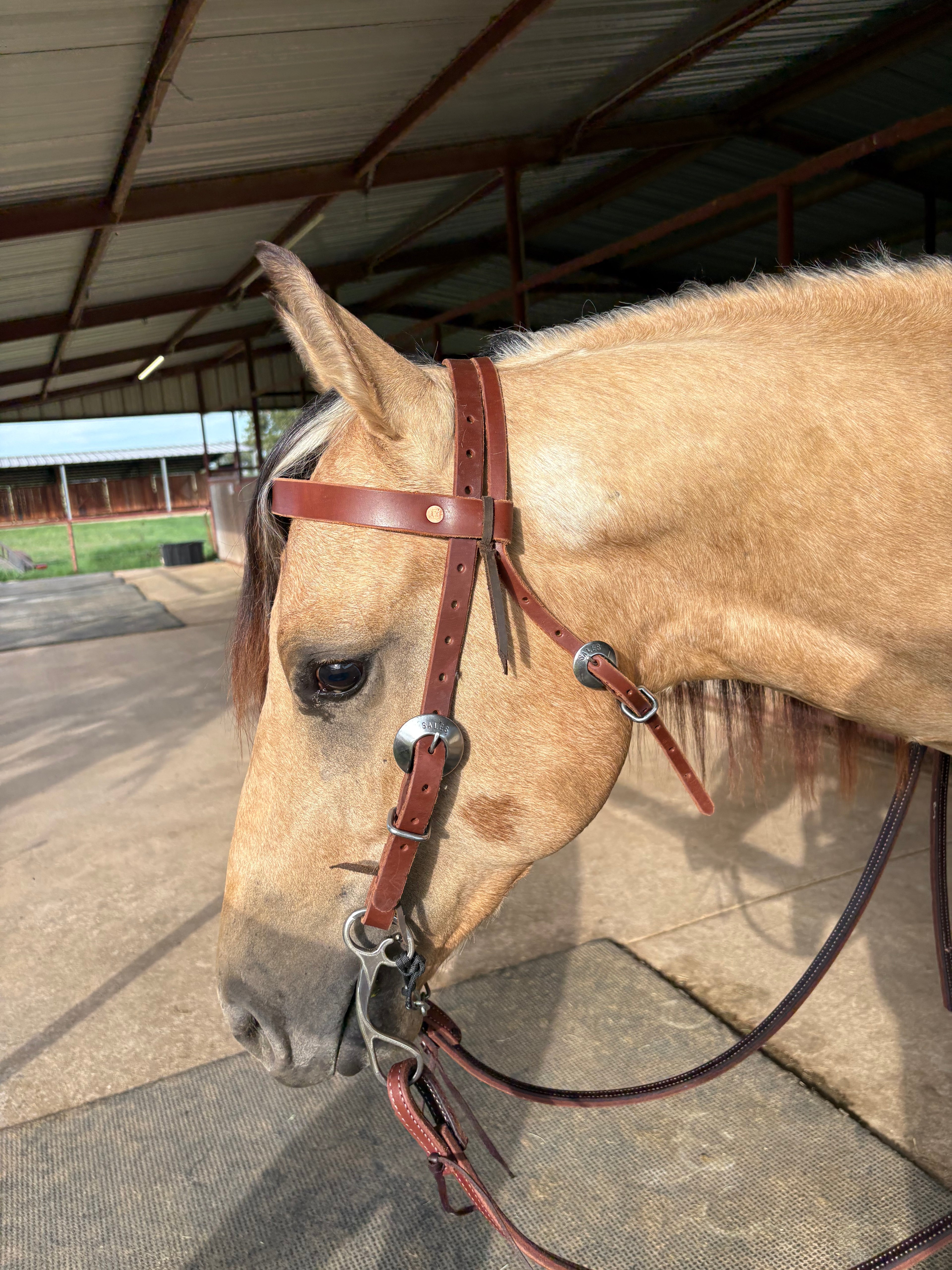 3/4” Browband Headstall