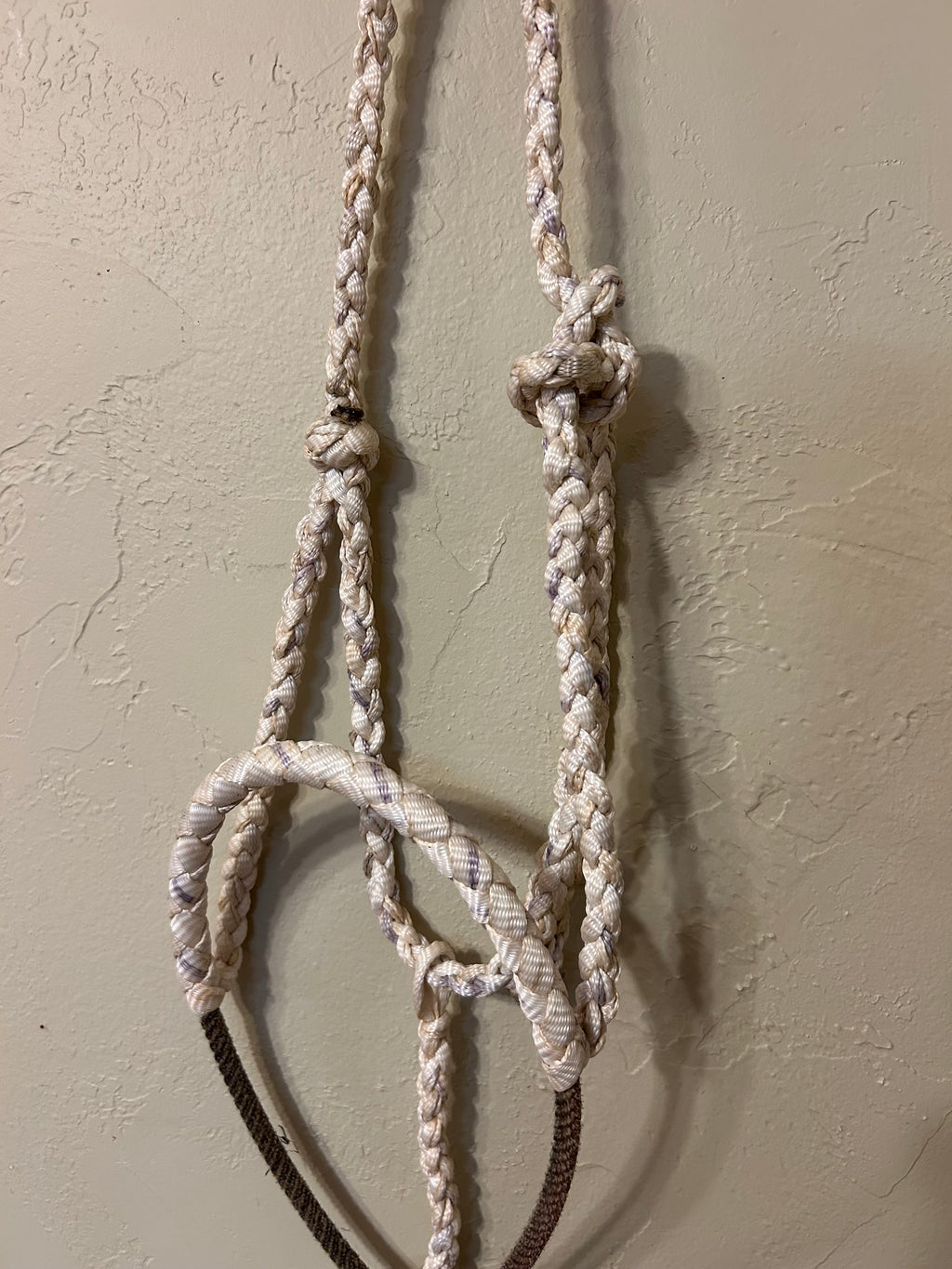 Hand Braided Mule Tape Halters