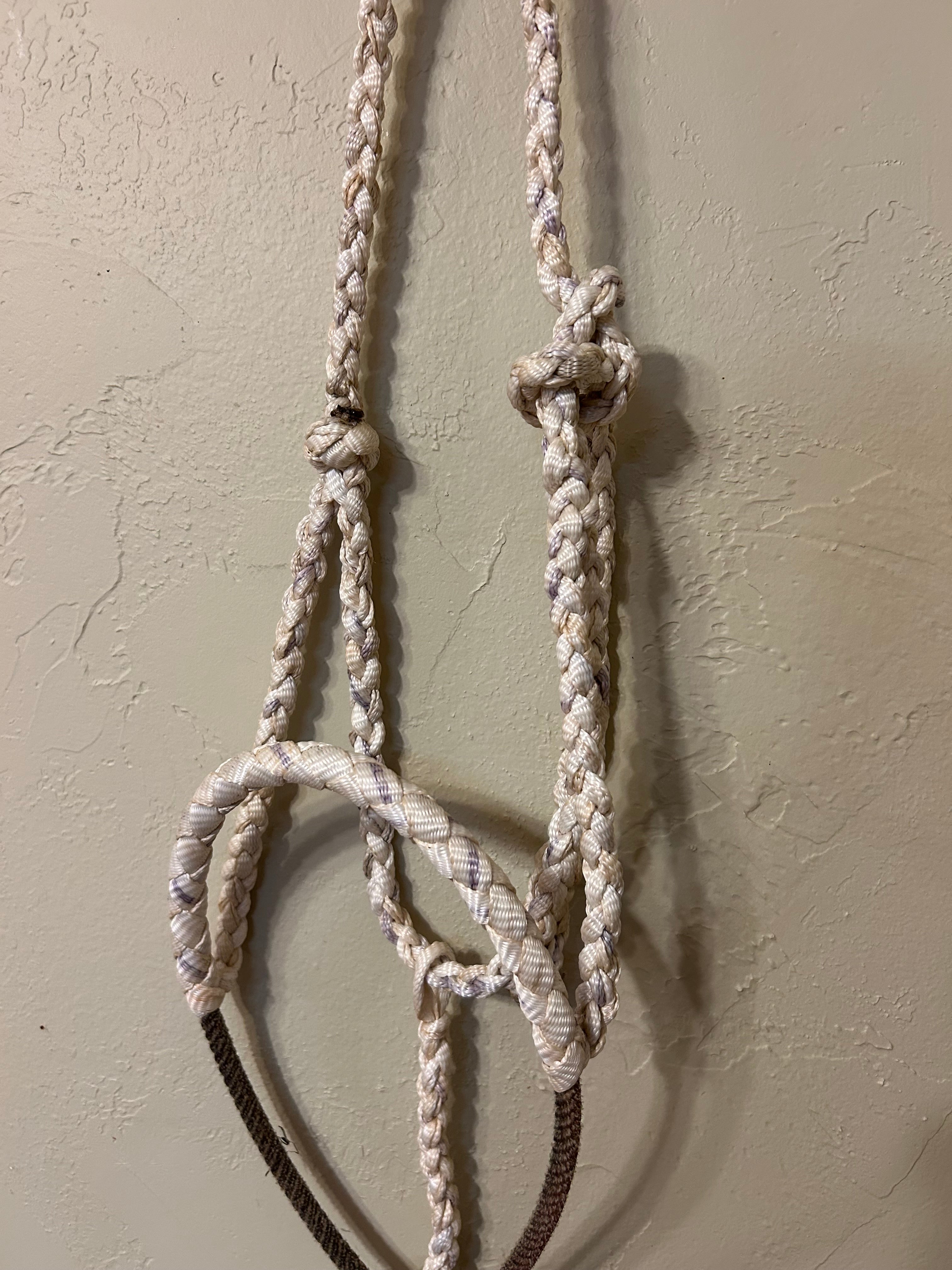 Hand Braided Mule Tape Halters