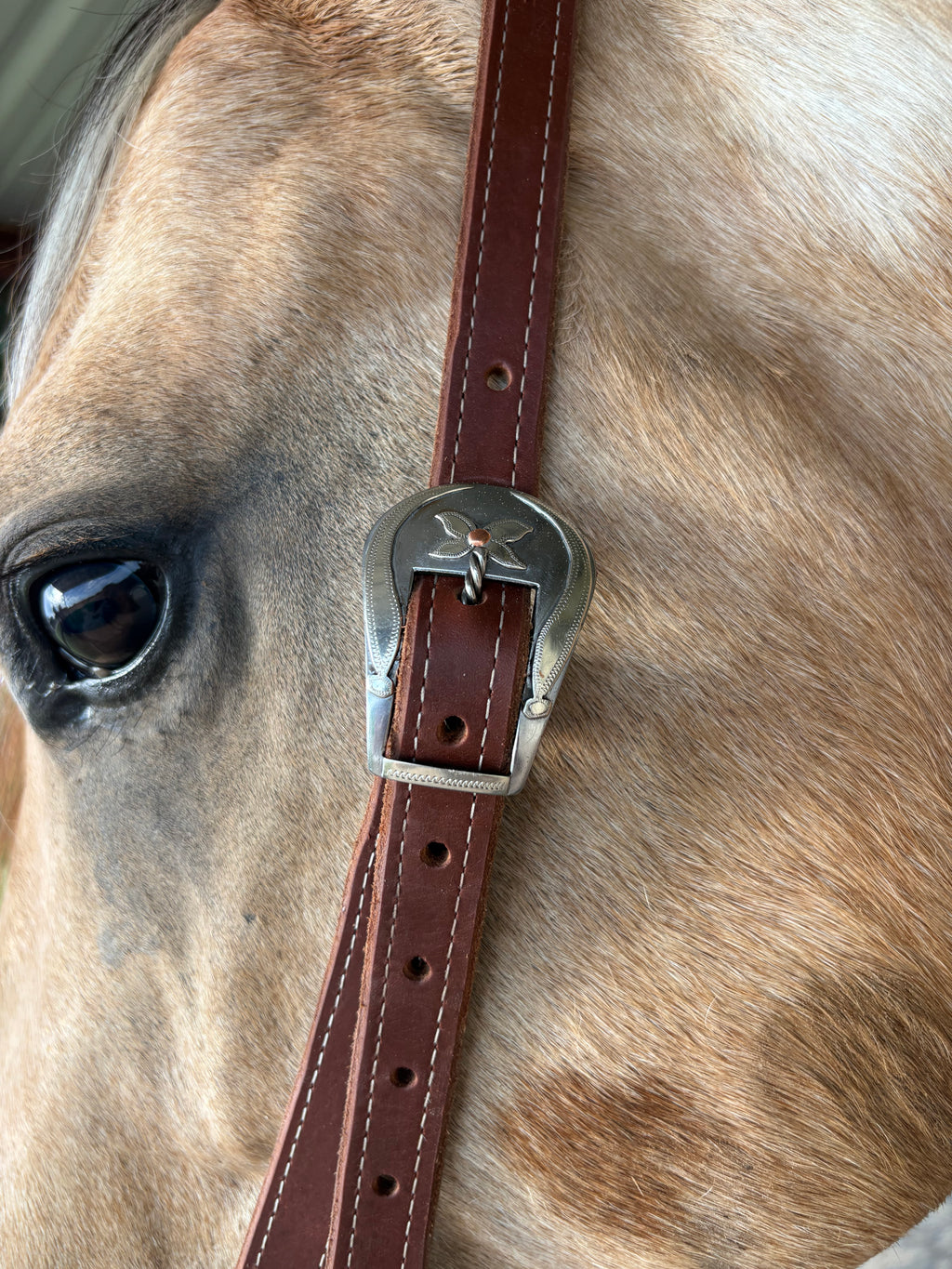 3/4” Split Ear Headstall