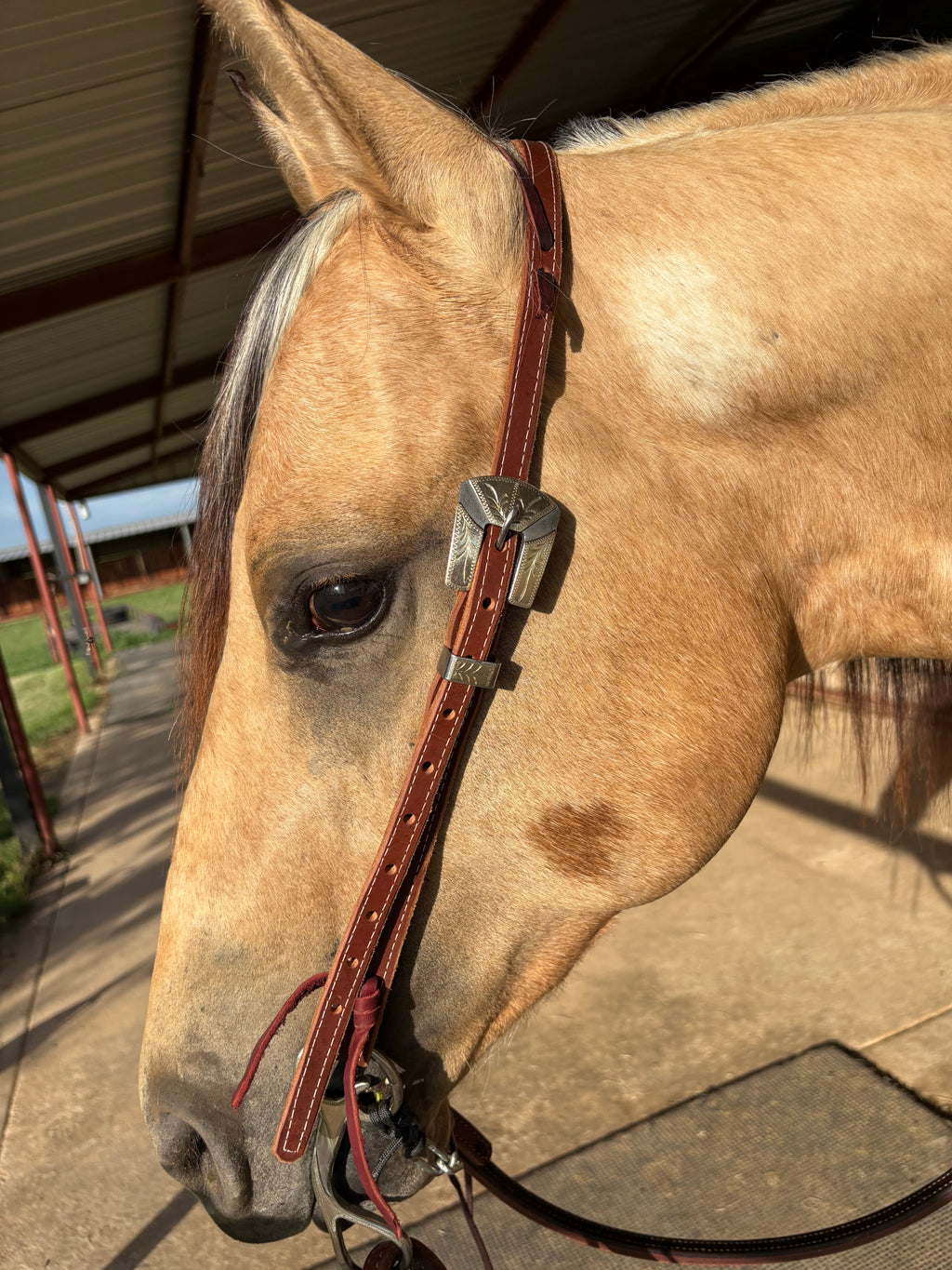 5/8” Split Ear Headstall