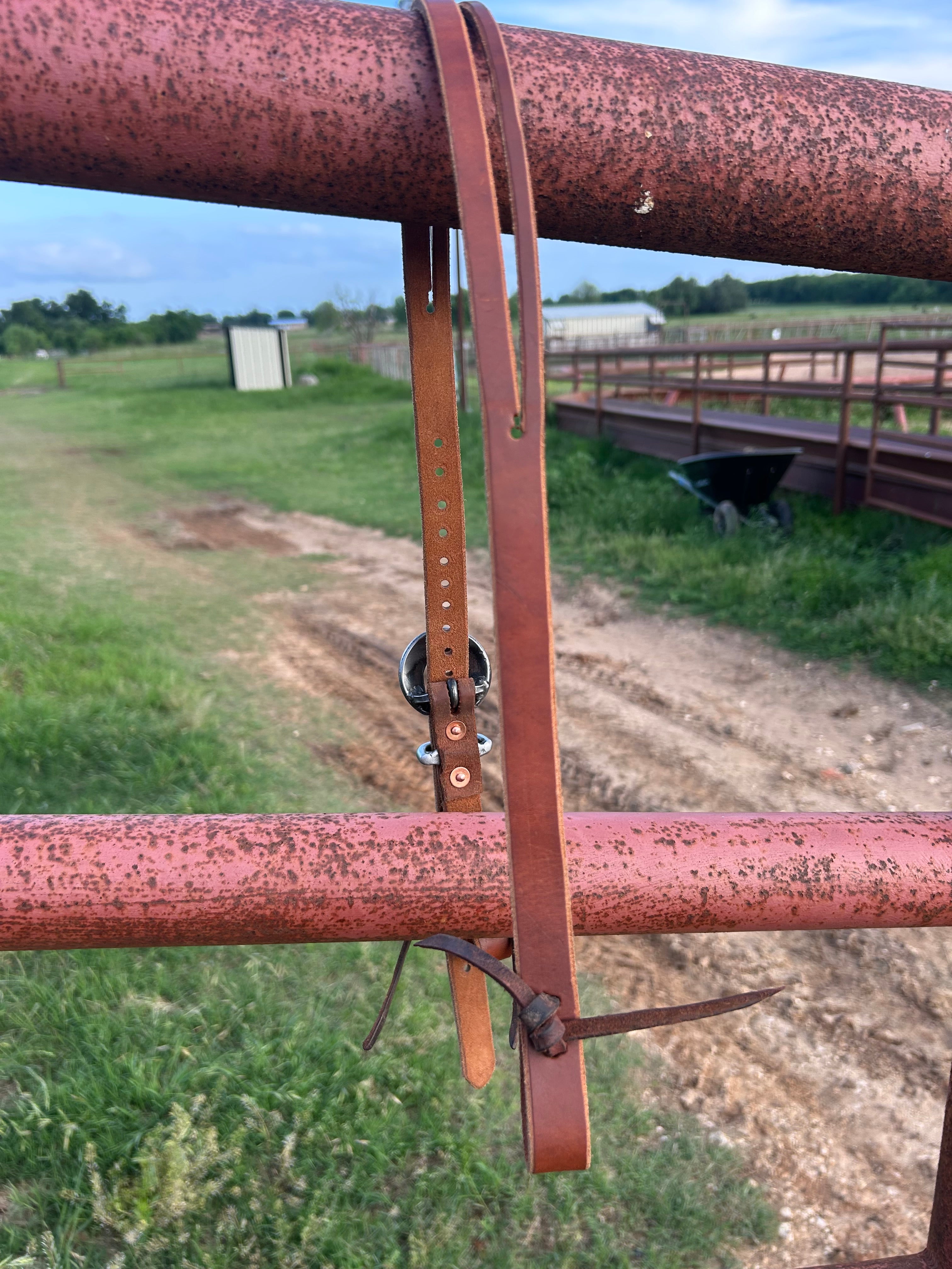 Hot Oiled Herman Oak Headstall