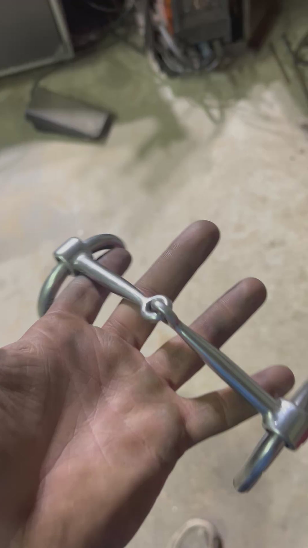 Mounted O-Ring Snaffle