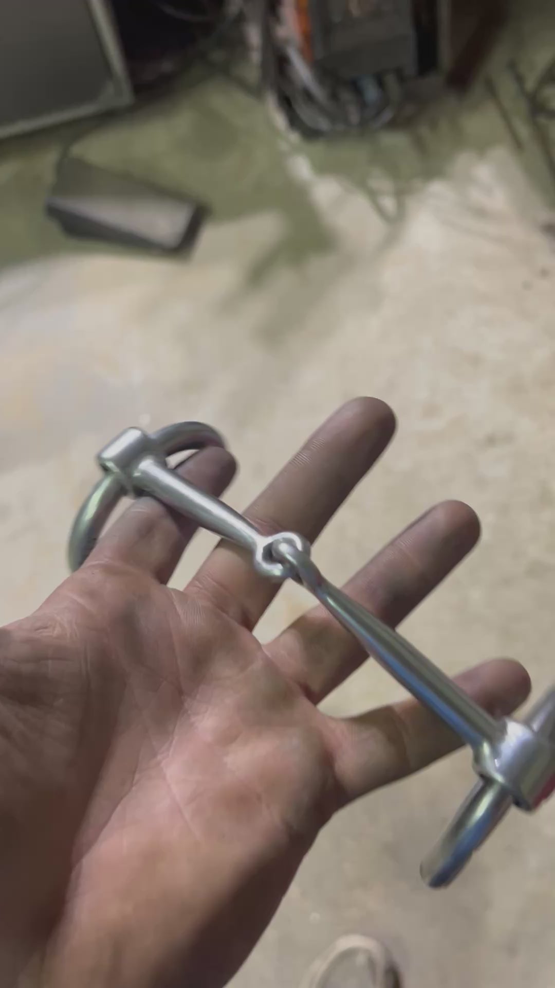 Mounted O-Ring Snaffle
